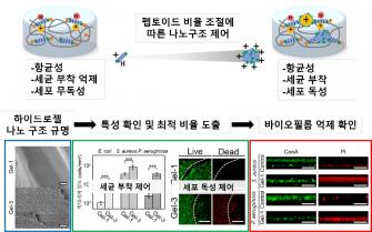 "의료기기 표면 세균이 달라붙지 못하게 코팅한다" GIST-KIST, 의료기기 감염 막는 항균 젤 개발 사진