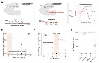 GIST, 다양한 질환 20분 내 진단하는 범용 유전자 검출 기술 개발… PCR 수준 정확도 확보 사진