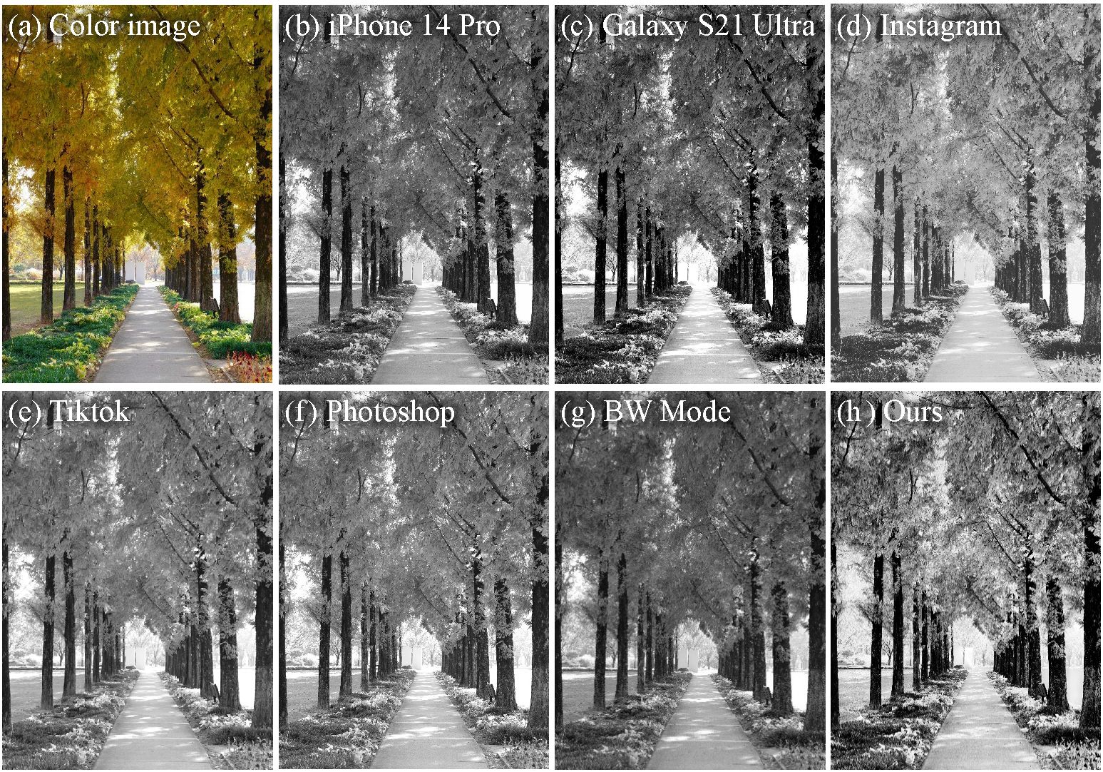 “Black and white photos and movies converted by AI are so cool.” Professor Hae-Gon Jeon’s research team has developed AI technology to correct color → black and white of photos and videos at a professional level 이미지