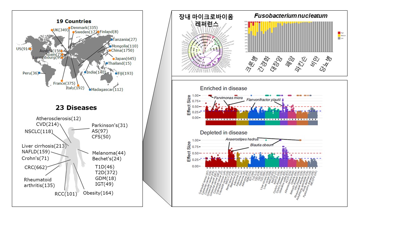 Korea-UK-Sweden-France International Joint Research Team Releases World's First Human Disease Microbiome Map 이미지