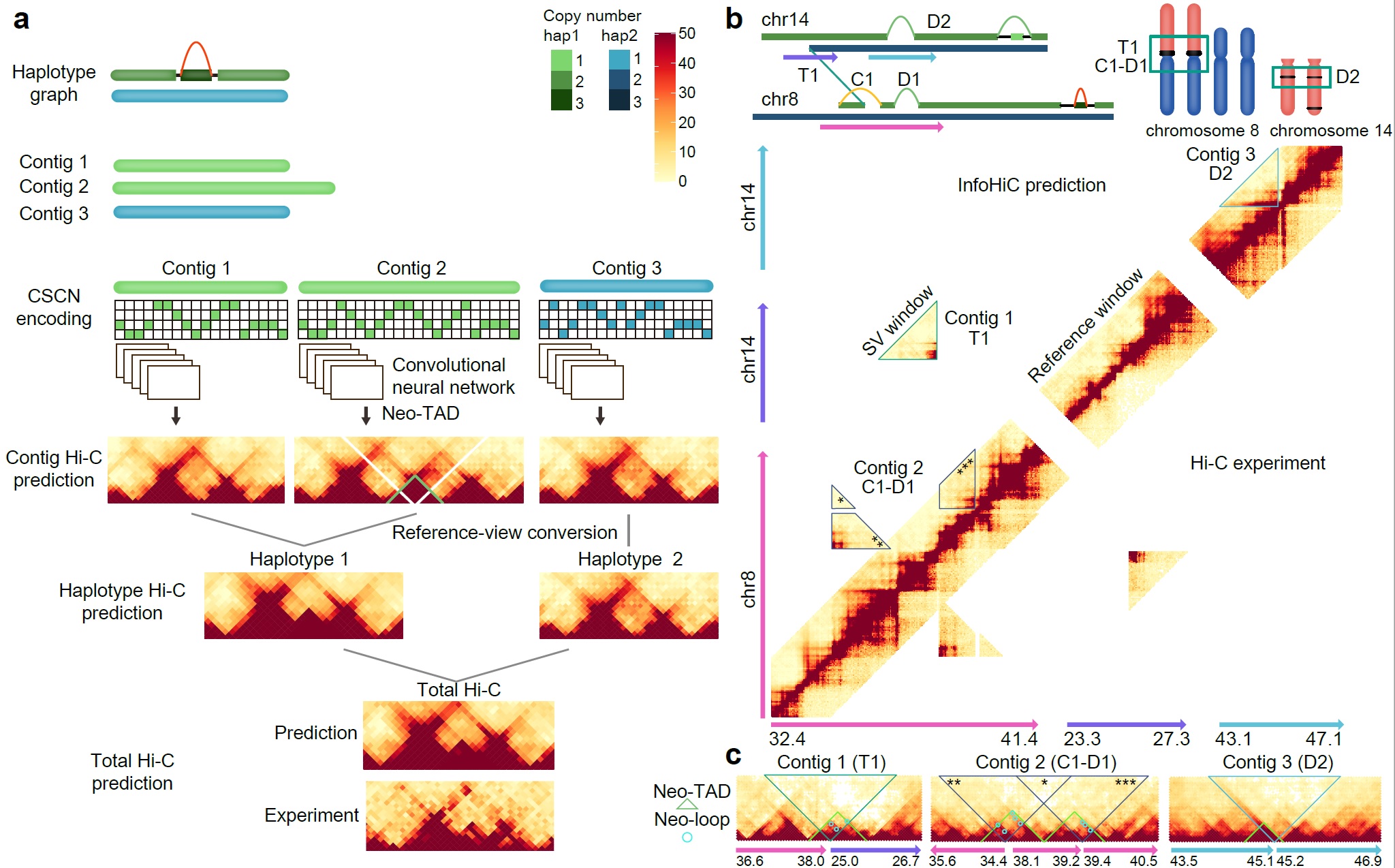 GIST-Seoul National University Hospital develops AI technology for 3d cancer genome prediction that reduces costs and increases accuracy 이미지