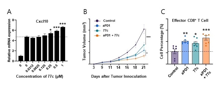 A joint research team led by Professors Yong-Chul Kim and Hansoo Park has developed a new anticancer agent, "77c," that blocks cancer cell immune evasion 이미지