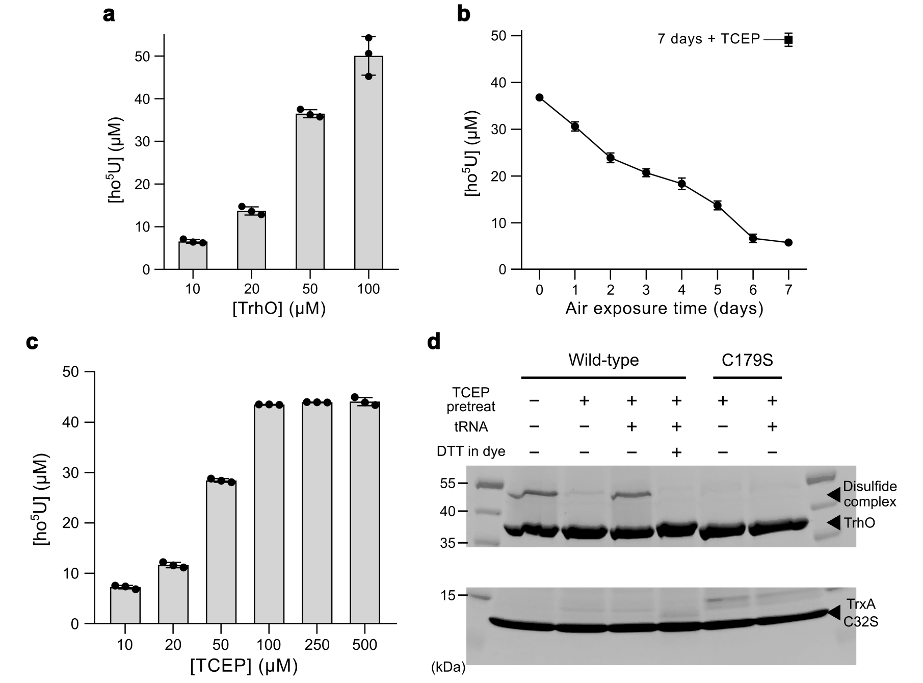 Professor Jungwook Kim's research team in the Department of Chemistry has discovered the world's first enzyme reaction mechanism that utilizes oxygen without auxiliary substances 이미지
