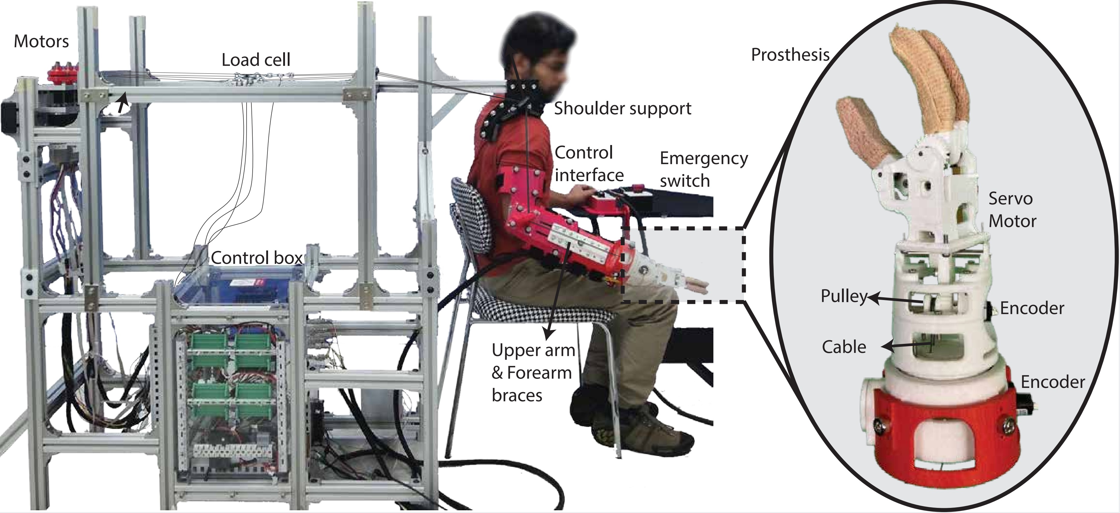 A joint research team from GIST, the University of Michigan, and the State University of New York has developed a robotic technology that helps patients with amputated arms find customized prosthetic limbs 이미지