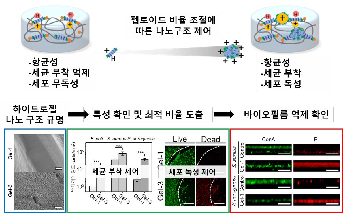 "Coating Medical Device Surfaces to Prevent Bacteria from Adhering" GIST-KIST develop antimicrobial gel to prevent infection in medical devices 이미지