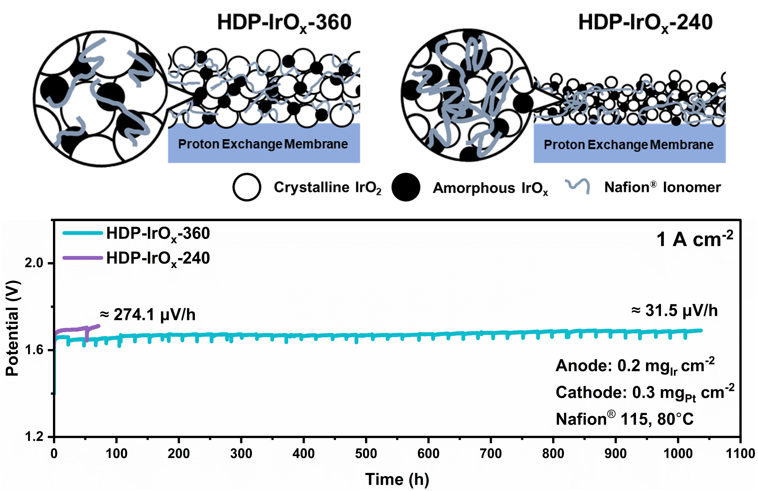 GIST develops hydrogen production electrode that lasts 1,000 hours while reducing rare metal iridium by 80% 이미지