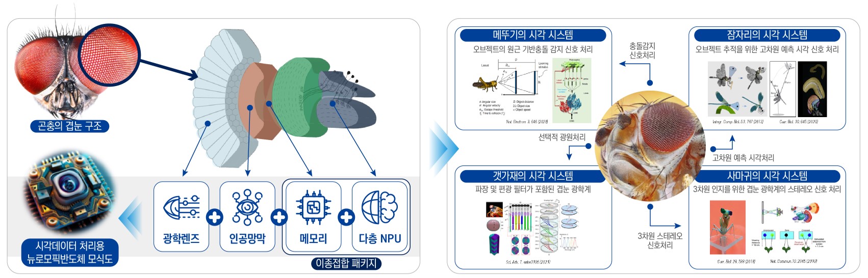 “Developing a compound eye imitation semiconductor for Supervision AI” GIST, selected as a regional innovation mega project host 이미지