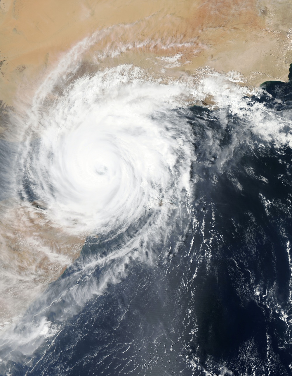 More than meets the eye (of the storm): Typhoons in Korea amplified wildfires in America 이미지