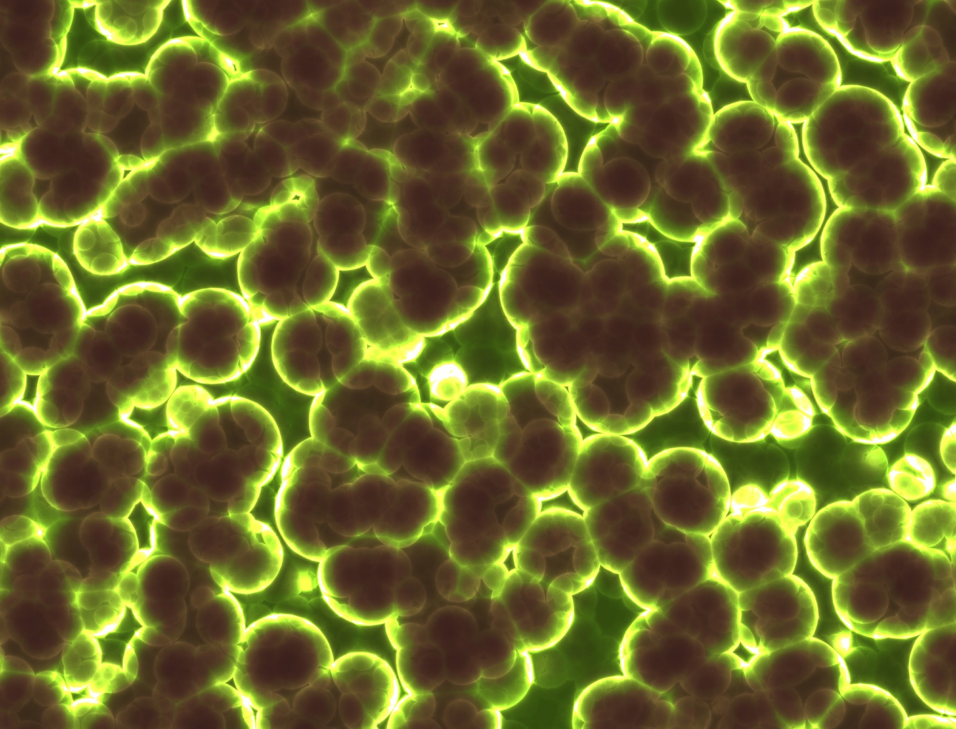 Optimizing Disinfection to Prevent Spread of Antibiotic Resistance in Wastewater 이미지