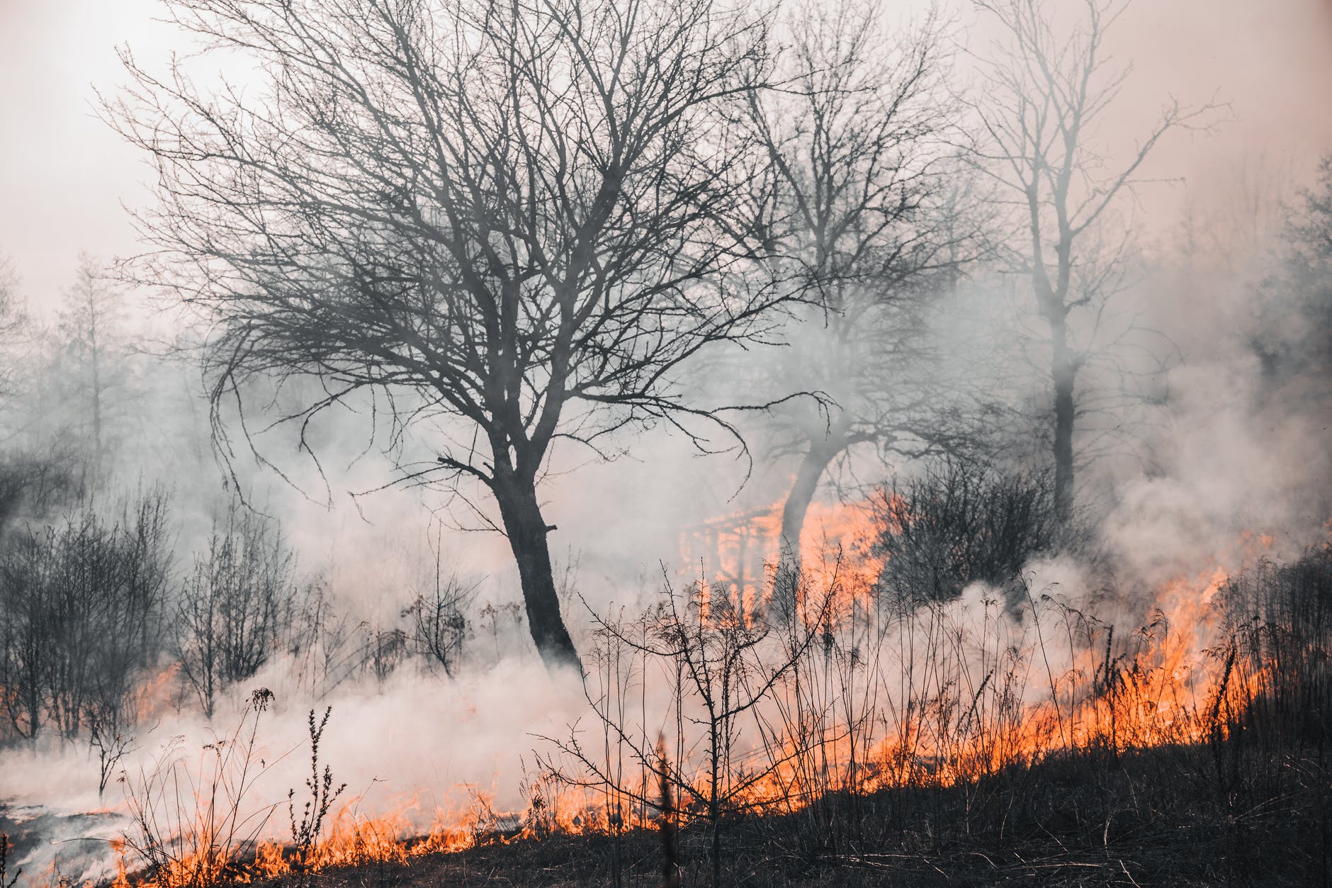 Researchers find “best case” goals for climate warming could still result in massive wildfire risk 이미지