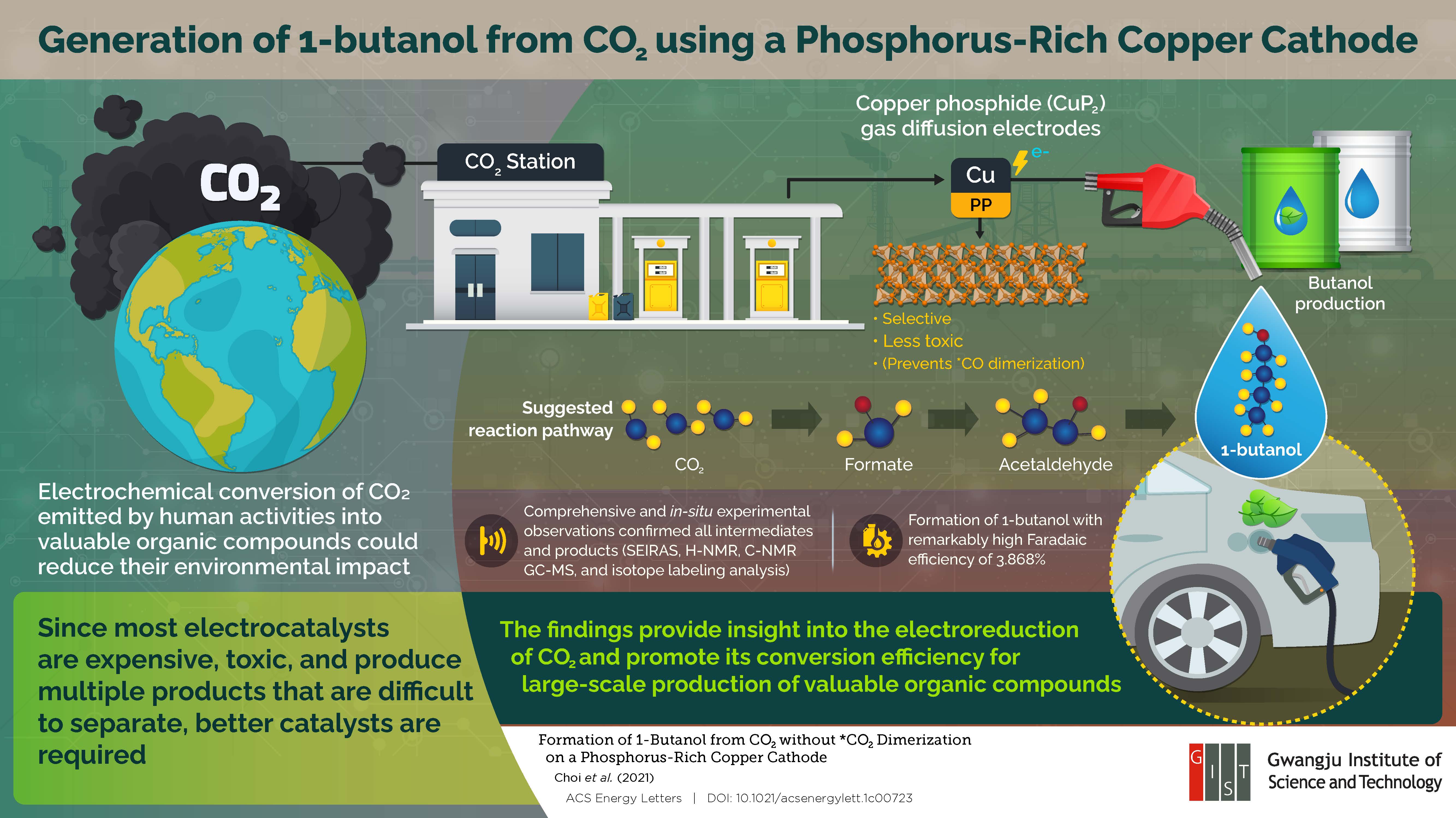 From Waste to Wealth: Converting CO2 into Butanol Using Phosphorous-Rich Copper Cathodes 이미지