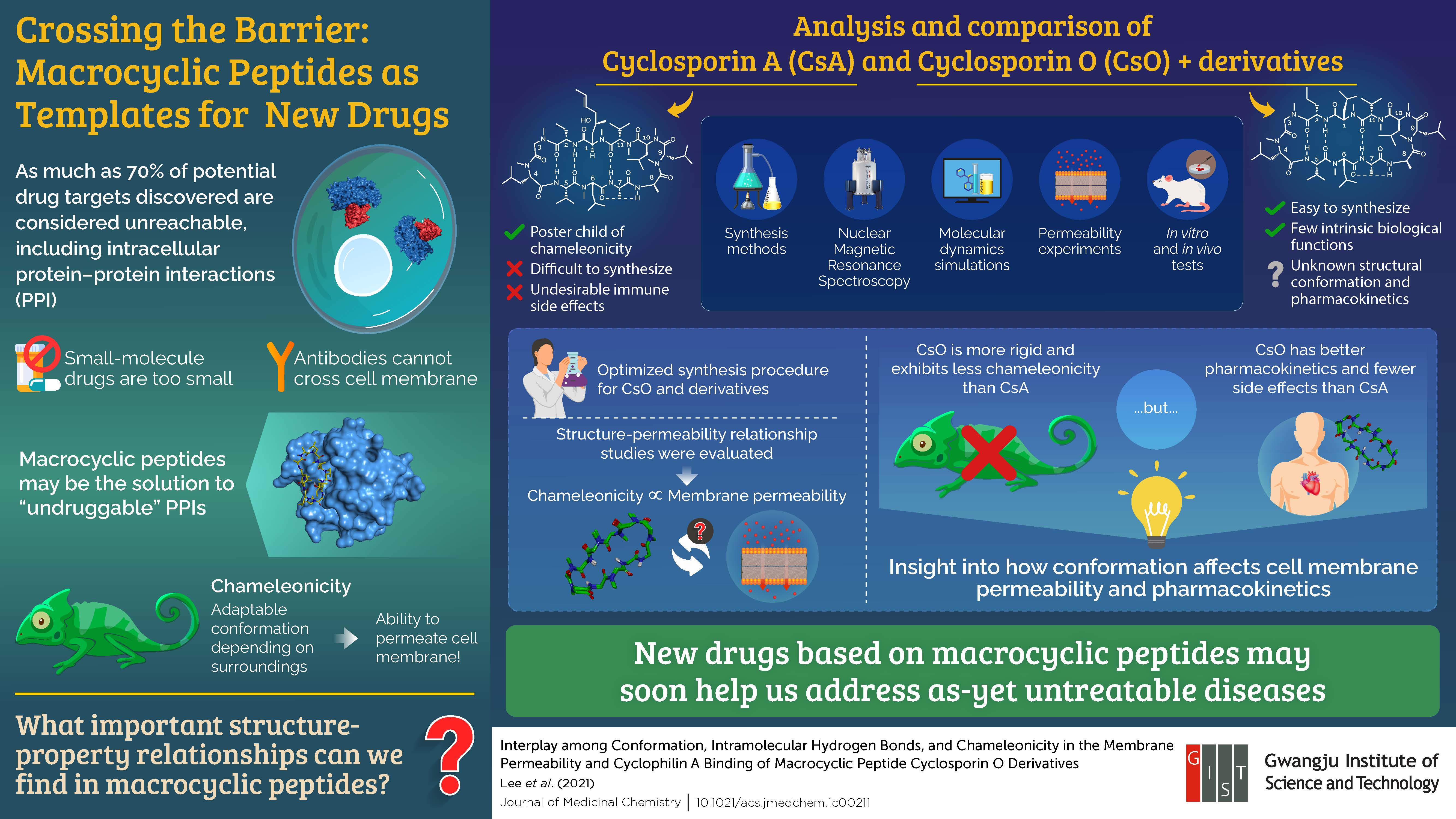 Gwangju Institute of Science and Technology Scientists Investigate Macrocyclic Peptides as New Drug Templates 이미지