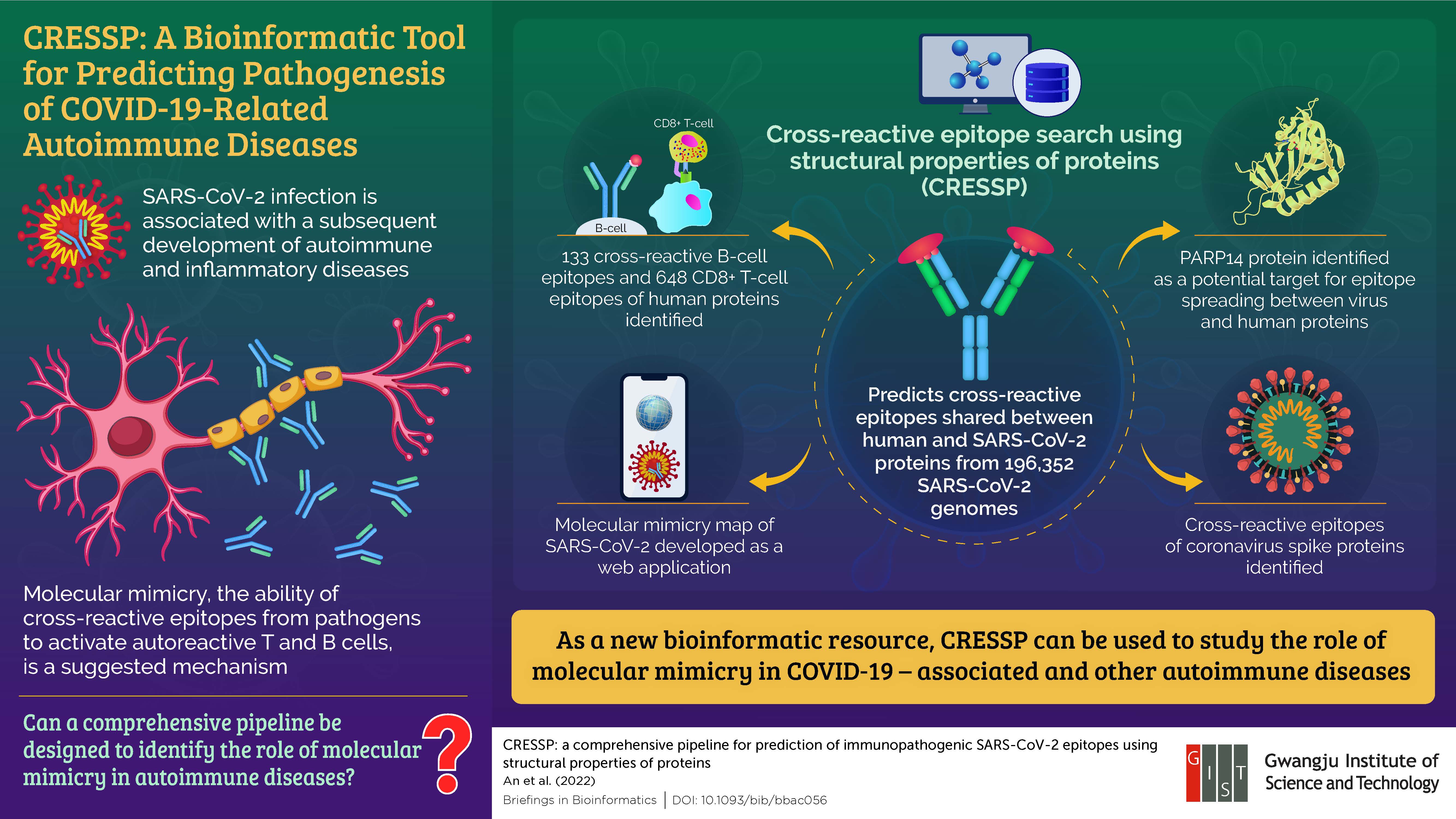 Gwangju Institute of Science and Technology Researchers Develop a Tool for Studying Inflammatory Diseases Related to COVID-19 이미지