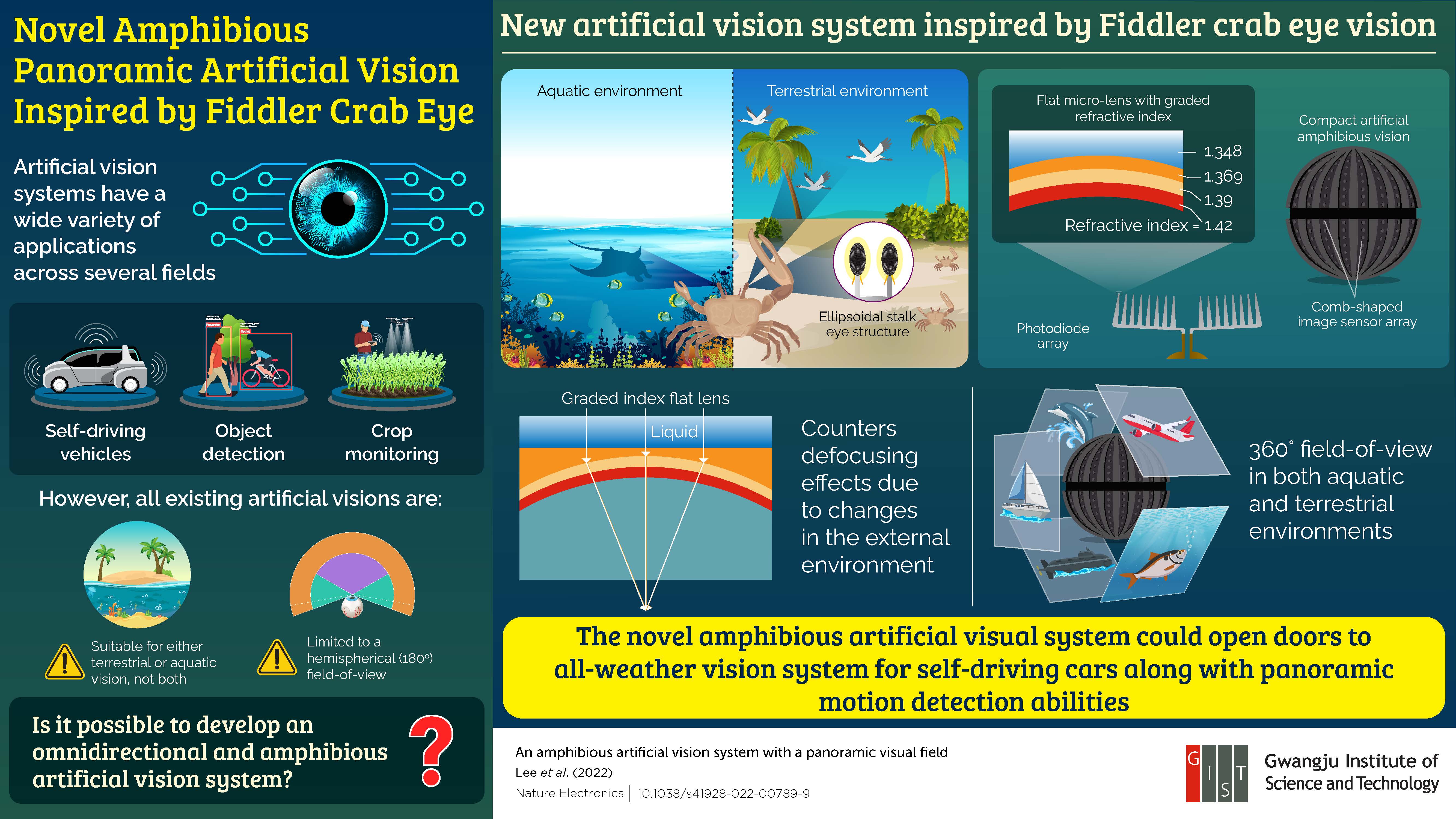 Fiddler Crab Eye View Inspires Gwangju Institute of Science and Technology Researchers to Develop Novel Artificial Vision 이미지