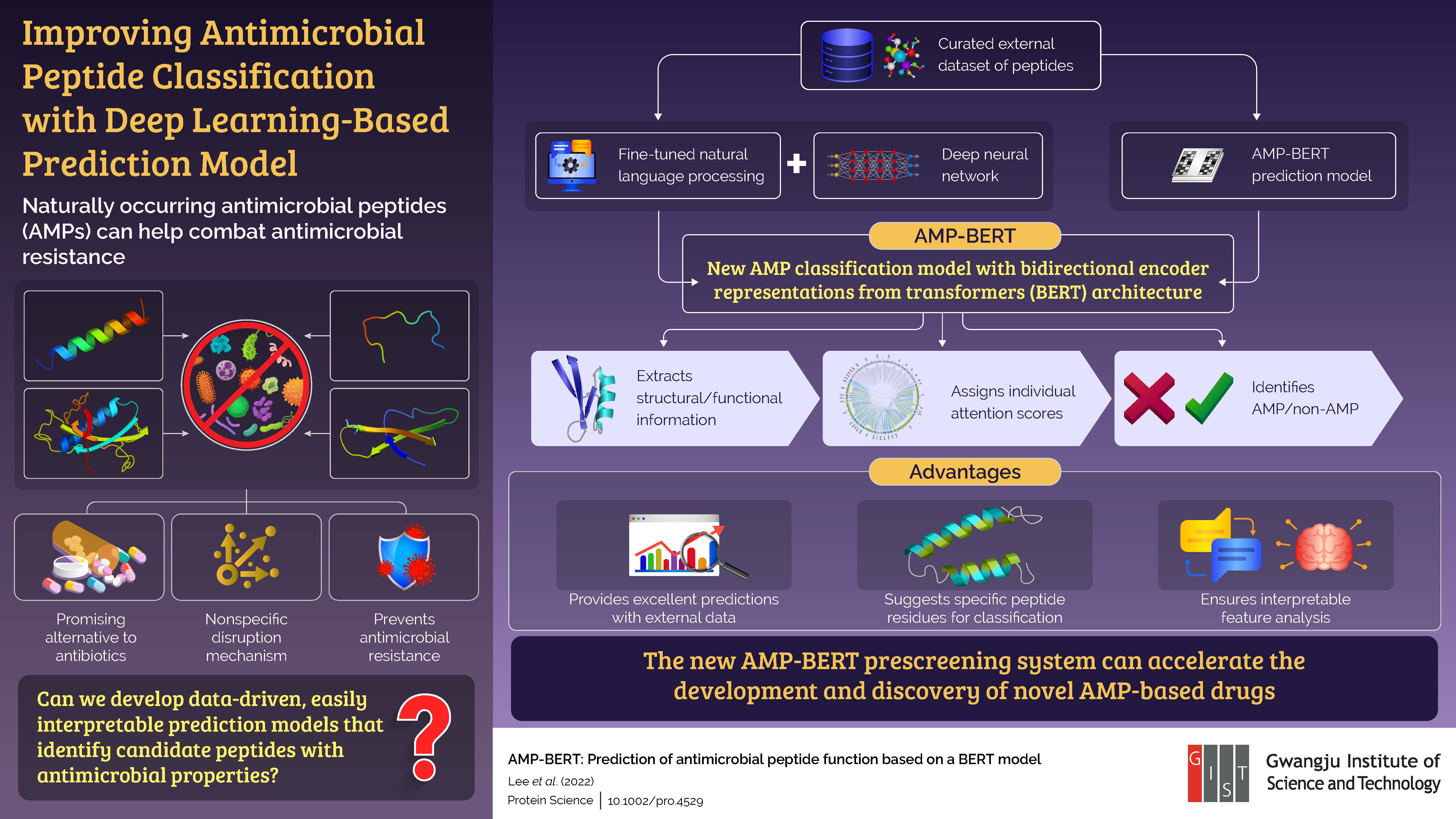 GIST Researchers Develop “AMP-BERT”: A New AI-based “Finder” of Antimicrobial Peptides 이미지
