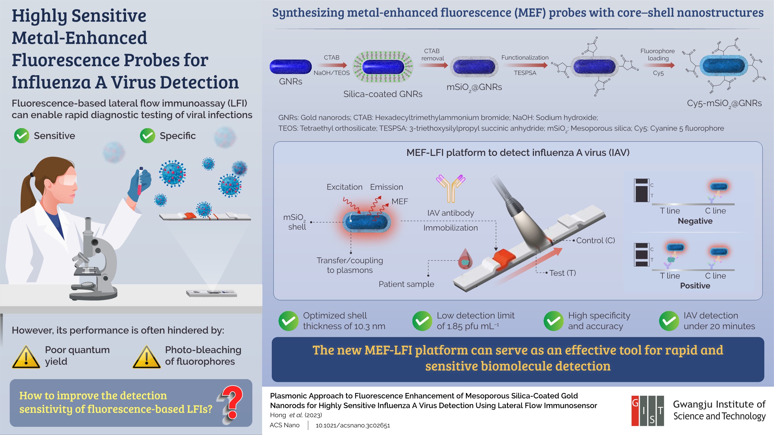 Gwangju Institute of Science and Technology Researchers Develop Metal-Enhanced Fluorescence Probes for Influenza A Virus Detection 이미지