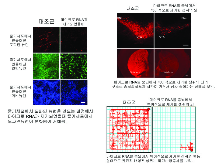 석사졸업생 김종필씨, 사이언스에 논문발표 이미지