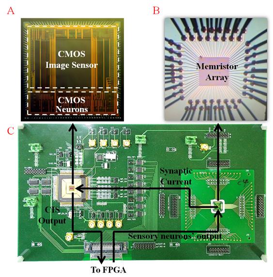 [보도자료] 이병근 교수팀, 멤리스터 활용한 뉴로모픽 화상인식 시스템 개발 이미지