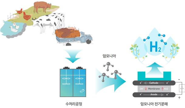 [보도자료] 이재영 교수팀(환경), 폐 암모니아로부터 순도 100% 수소 생산 이미지