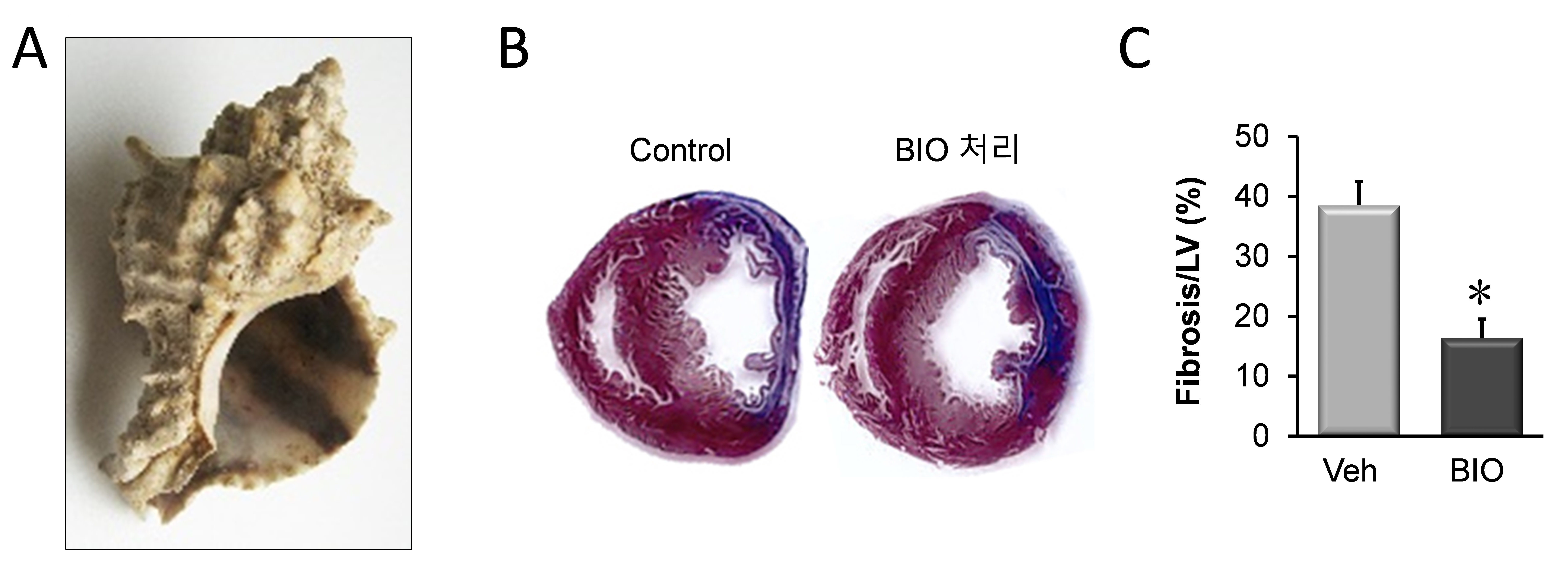 [보도자료] 다런 윌리엄스 교수팀, 천연 약물 유도체의 심근경색 치료 효과 규명 이미지