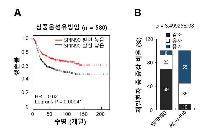 송우근 교수, 이상명 교수(중앙대)와 공동연구로 유방암 생장 및 전이 억제 기전 규명 이미지