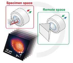 권혁상 교수팀, 측면 직접 촬영이 가능한 광-시트 현미경 개발 이미지