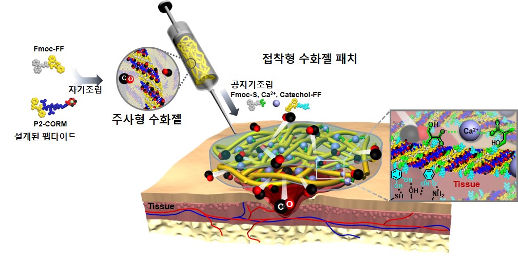 이은지 교수 연구팀, 유해한 일산화탄소를 치료용 수화젤로 사용(한국연구재단) 이미지