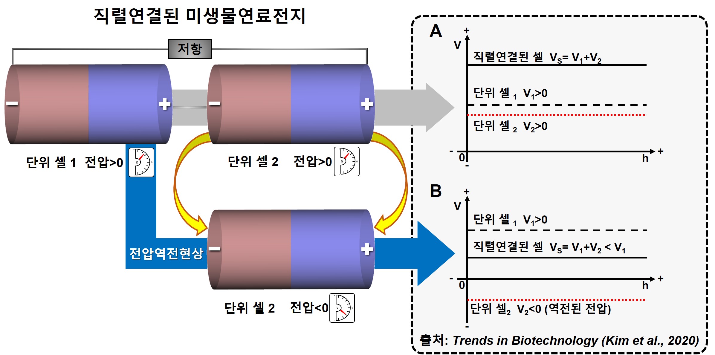 장인섭 교수 연구팀, 미생물 연료전지 실용화 난제 극복을 위한 길잡이 제시(한국연구재단) 이미지