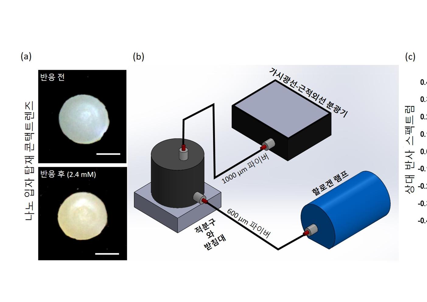 정의헌 교수 연구팀, 나노 입자 함유 콘택트렌즈로 눈물 속 포도당의 광학적 측정법 개발 이미지