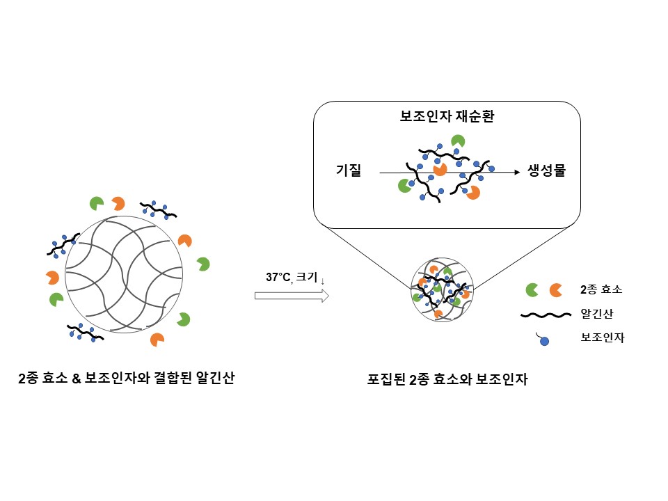 권인찬‧태기융 교수 공동연구팀, 지속적으로 약물을 제조하는 올인원 친환경 나노반응기 개발 이미지