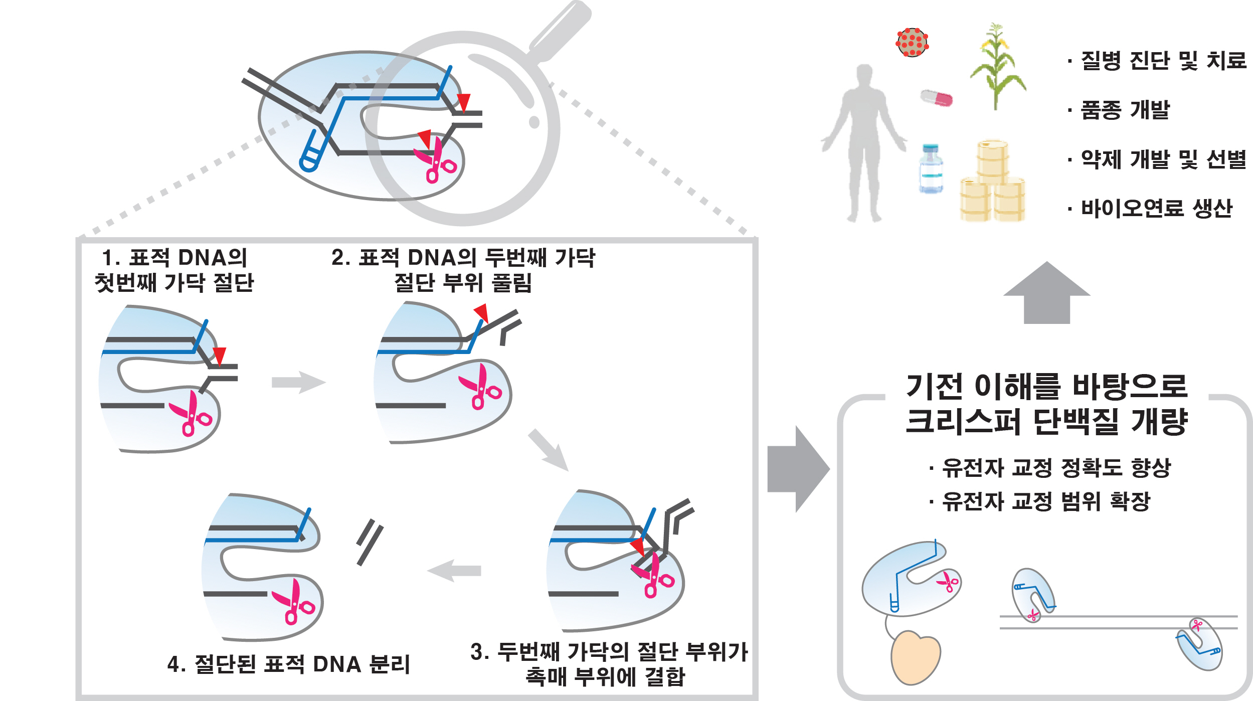 이상화 책임연구원 연구팀, 유전자 가위의 적용 한계 극복 실마리 찾아 이미지