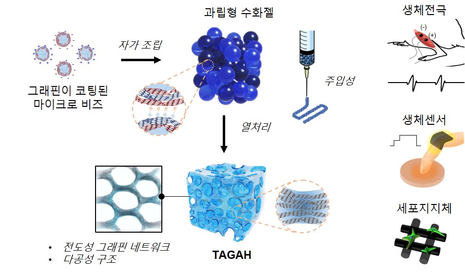 신소재 이재영 교수 연구팀, 그래핀 3차원 구조화로  독성 낮추고, 전도성 높인 수화젤 개발 이미지