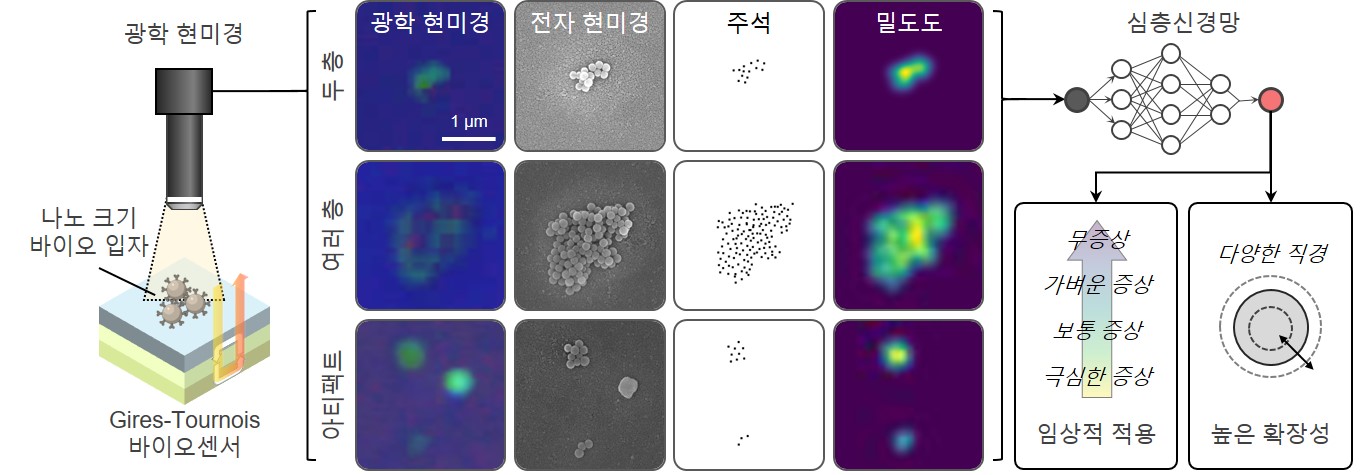 송영민·전해곤 교수 공동연구팀, 바이러스성 질병의 감염 수준을 빠르고 정확하게 진단하는 AI 플랫폼 개발 이미지