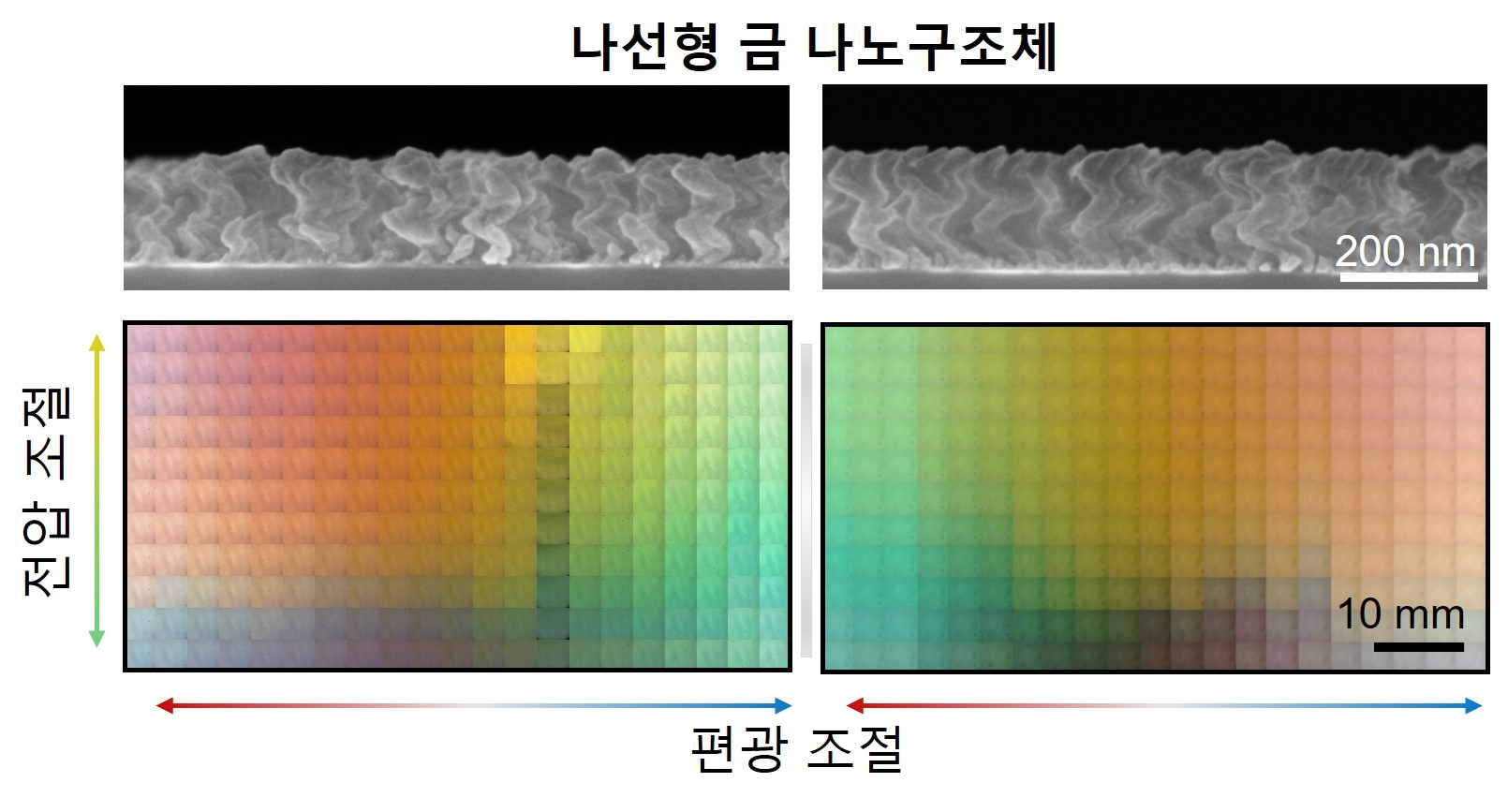 "보석풍뎅이 등껍질의 다채로운 빛깔, 1볼트로 구현하다" 정현호 교수-KAIST 공동 연구팀, 빛의 방향과 전압으로 색을 제어하는 초저전력 차세대 디스플레이 핵심 기술 개발 이미지
