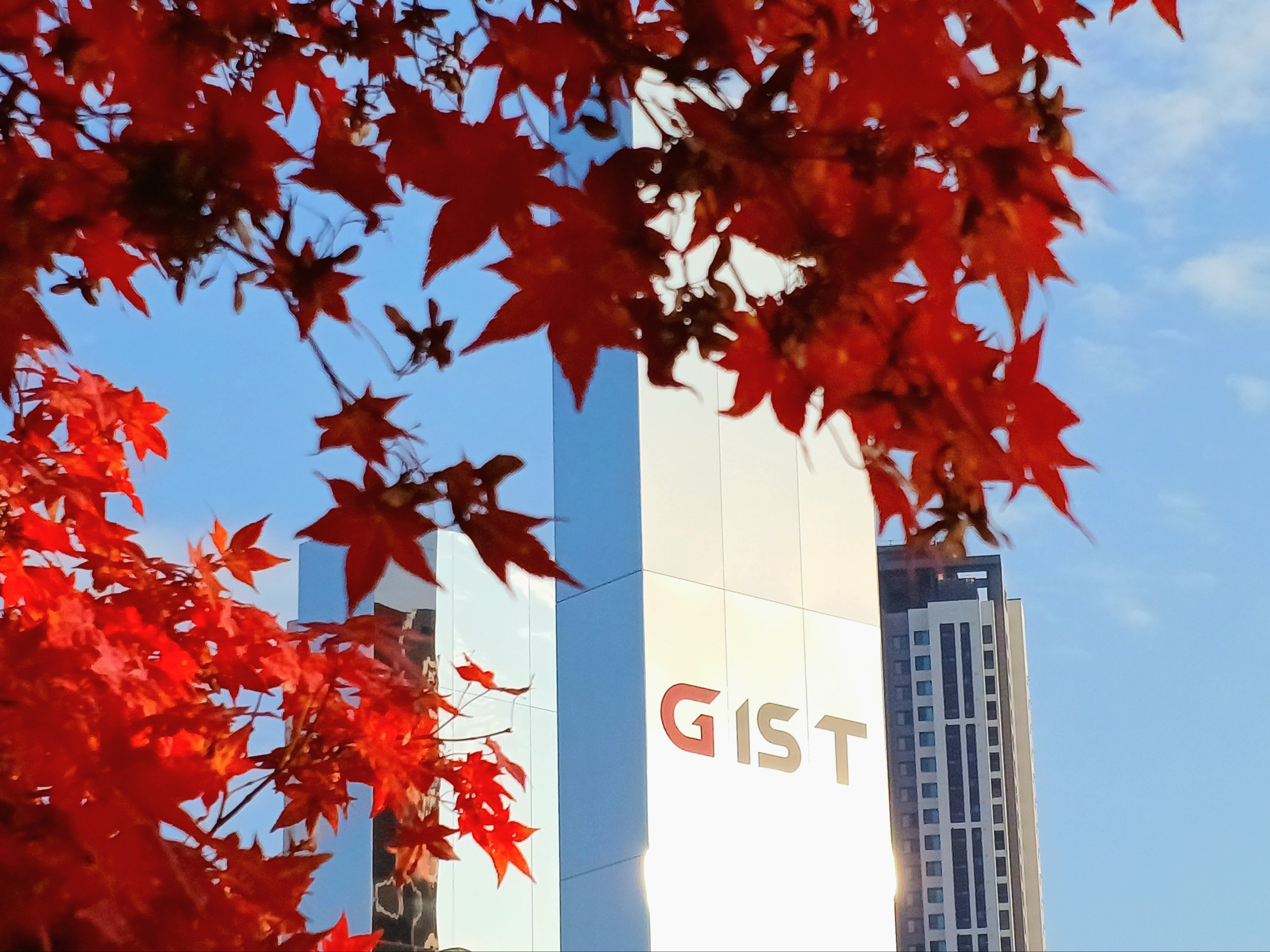 [입선 #1] GIST 정문 사진 공모전 수상작 이미지