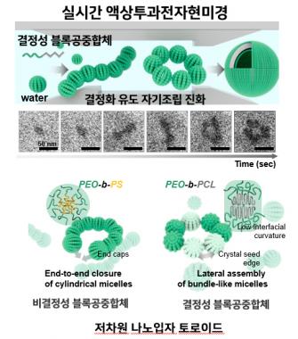 이은지 교수 연구팀, 고분자 나노구조 진화 과정 실시간 관찰·규명 세계 최초 성공 사진