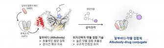권인찬 교수팀-버지니아대, 종양 깊숙이 침투하고 체내 오래 머무는 암세포 정밀 공격 항암제 플랫폼 개발 사진