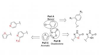 “반복 발작 일으키는 소아 뇌전증 ‘드라베 증후군’ 치료 새 길”GIST-화학연, 신규 기전 신약 후보물질 개발 사진