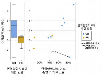 “이 항암제, 내 몸에 잘 맞을까 투약 전 ‘치료 성공률’ 예측한다” GIST, 암세포 개별 분석 기반 면역항암제 효과 정량화 기술 개발 사진