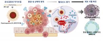 GIST 학부생, 국제학술지 제1저자 논문 발표… 폐암 치료 효율 높이는 고분자 나노약물전달체 개발 사진