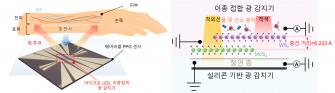 GIST-DGIST, '적색광·근적외선' 따로 읽는 무기 반도체 웨어러블 광센서 개발 사진