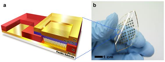 Seong-jun Park, a doctoral student, and Professor Myung-han Yoon’s Research Result, Selected as One of Top Ten Science and Technology News in 2012 이미지