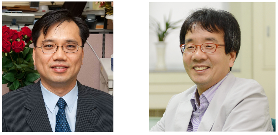 Research team led by Professor Soo Hyun Eom discovers in flavonoids a clue to the development of antiviral agents 이미지