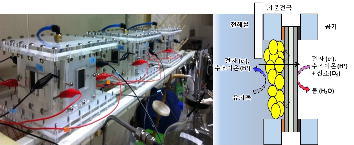 Professor In Seop Chang's research team has solved the electric power overshoot problem for microbial fuel cells 이미지