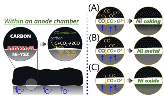 Professor Jaeyoung Lee's research team presents a new paradigm for carbon fuel cells 이미지