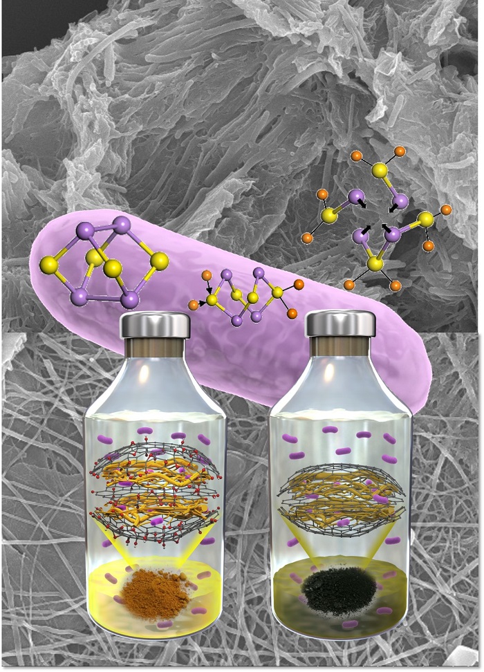 Professor Hor-Gil Hur's research team used microbial solution process of bacterium Shewanella to synthesize electrode material for Li-ion batteries 이미지