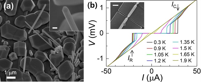 GIST Professor Yong-Joo Doh and KAIST Professor Bongsoo Kim observed a macroscopic quantum penetration phenomenon using a superconducting transistor 이미지