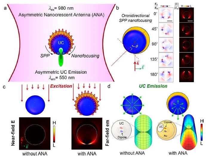 Professor Min-Gon Kim develops nanocrescent antenna to convert near infrared rays into visible light 이미지