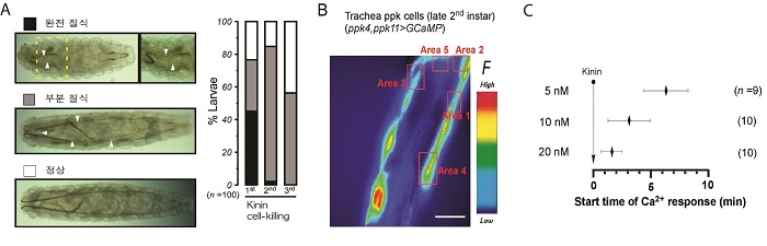 Professor Do-Hyoung Kim and Professor Young-Joon Kim discover an insect control hormone 이미지