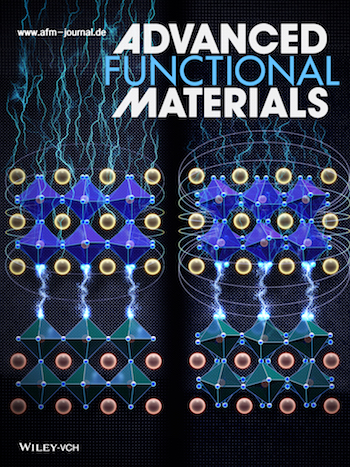 Professor Ji Young Jo's research team has developed multi-stiffness electric and magnetic property control technology 이미지